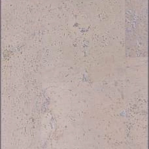 186W WC-6.0 ПРОБКОВОЕ ПОКРЫТИЕ CORKART ПРОБКОВЫЙ ПОЛ КЛЕЕВОЙ NARROW PLANK